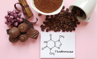 theobromine