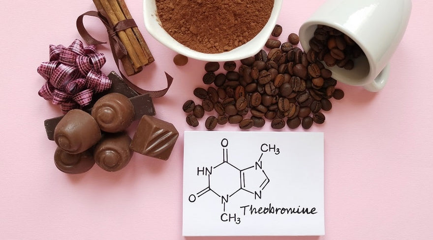 theobromine